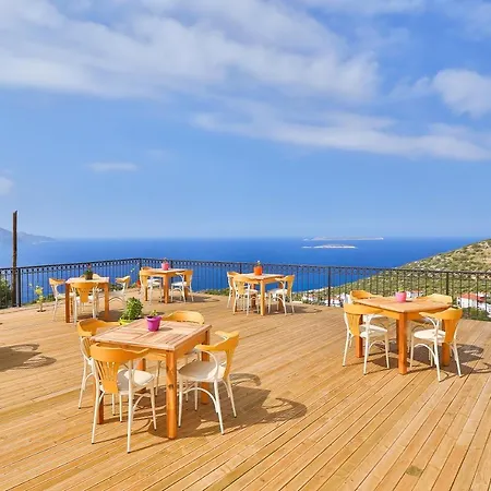 بيت ضيافة Elit