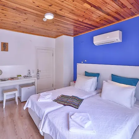 Guest house Elit 4*