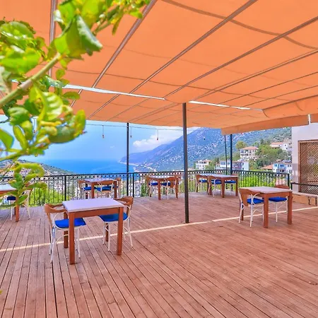 Elit Guest house 4*