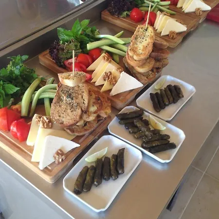 بيت ضيافة Elit كاس